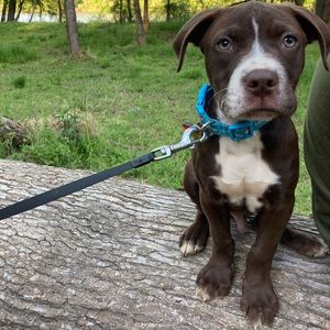 Meet your Posher, Halie